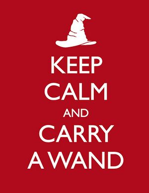 Harrypotterkeepcalm.jpg