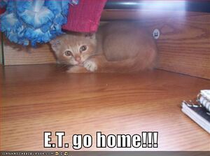 ET go home.jpg