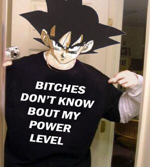 BitchesDontKnowPowerlevel.jpg