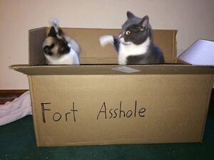 Fort Asshole.jpg