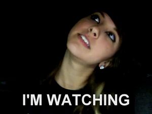 Boxxy is watching.jpg