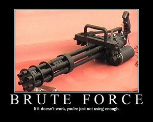 Brute Force.jpg