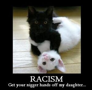 Racism cat.jpg