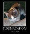 Public education cat needs to learn more