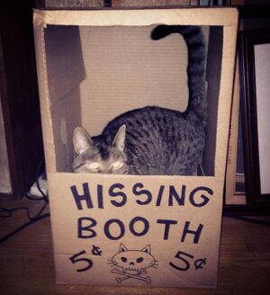 LOL Cats - Hissing Booth.jpg