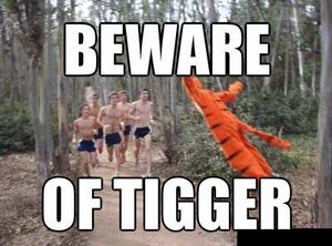 Tigger Warning.jpg