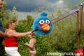 Angry Birds IRL