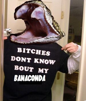 Boutbanaconda.jpg