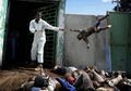 Victims of the 2010 Haiti earthquake being tossed into their third world "morgue". (archive)