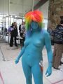 The "inappropriate" female cosplayer.