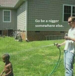 Niggers Somewhere Else.jpg