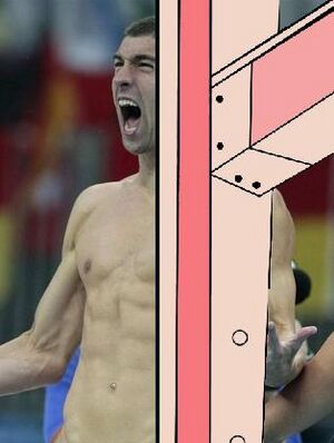 Phelps -that fucking.jpg