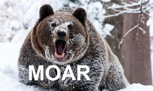 Moar bear.jpg