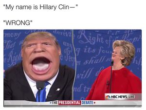 Trump face Distort.jpg