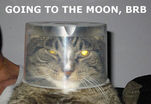 Mooncat brb.jpg