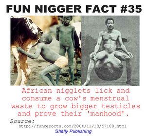 Niggerfact35.jpg