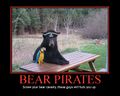 Bears can be pirates, too.