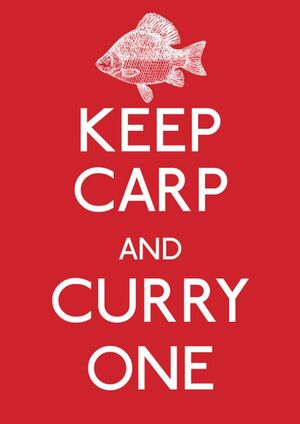 Keep-carp-and-curry-one-500x707.jpg