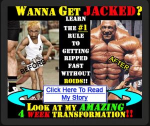 Workout program seems legit.jpg