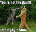 The Jeremy Kyle Show - Lolcat Edition.