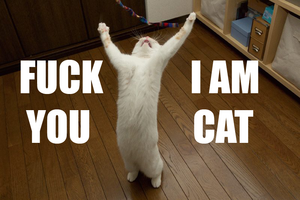 Fuck you i am cat.png