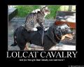 Lolcat Cavalry.