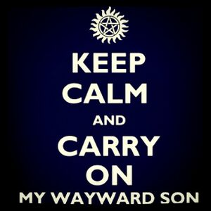 Carry On Wayward Son.jpg