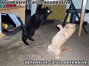 Agressive vs. defensive.jpg