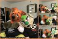 600$ fursuits bought from government sucklings