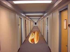 Hotdog hallway-1.jpg