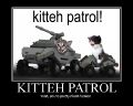 Kitteh Patrol