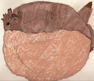 Rb ozkangaroo.jpeg