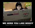 ... so we put your Boxxy in a Boxxy...