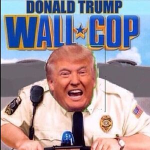 Wall Cop.jpg