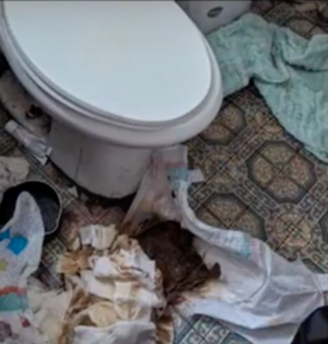 Andrew Ditch poopy diaper toilet.png