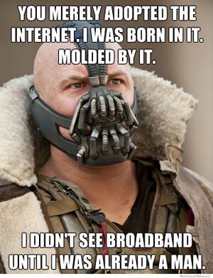 You-merely-adopted-the-internet-bane.jpg