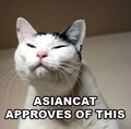 Asiancat approving