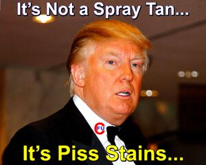 Trump Piss Stains.jpg