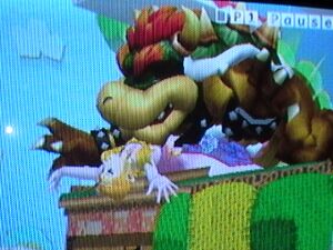 Bowser Sex.jpg