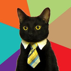 Business cat exploitable.jpg