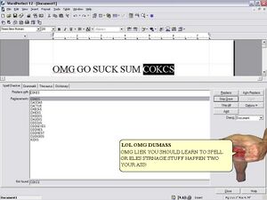 Spellchecker.JPG