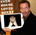 House loves Boxxy.