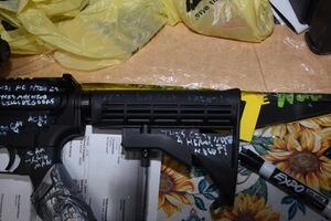 Ryan Palmeter Gun 11.jpg