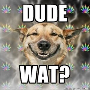 Stoner-Dog-dude-wat.jpg