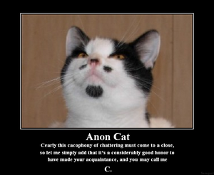 AnonCat.PNG