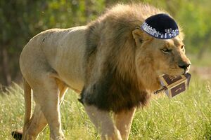 Jewlion.jpg