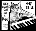 Keyboard Cat