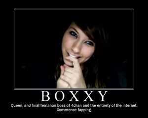 Boxxy8.jpg