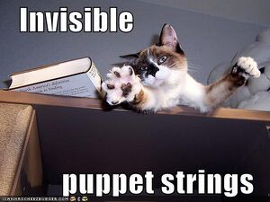 Invisiblepuppetstrings.jpg