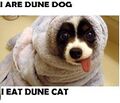 Dune Dog